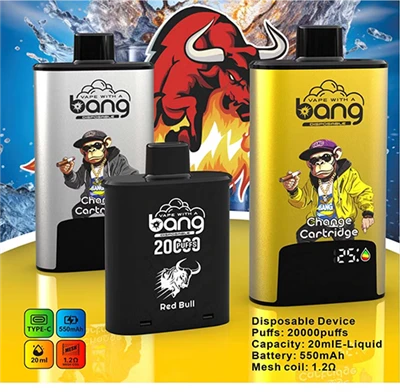 Bangfillable Vape 20000 Puffs einnota