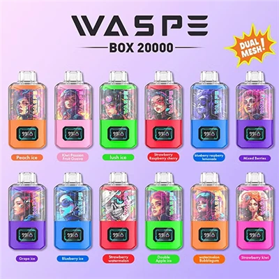 WASPE 20000 Puffs Dual Mesh Box einnota